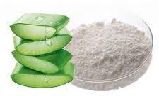 Aloe vera powder, Packaging Size : 25 KG 50 KG