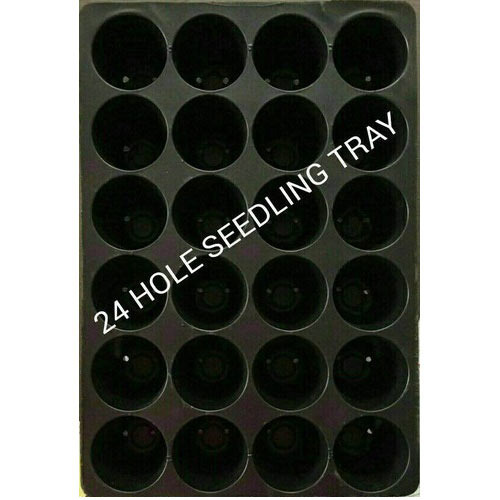 24 Hole Seedling Trays