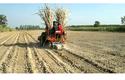 Iron Sugarcane Planter