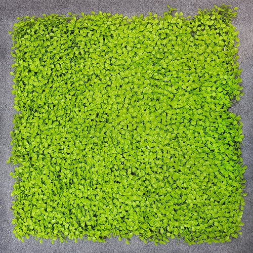 Square Plastic Artificial Grass Mat, Color : Green
