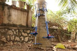 Coconut Tree Climber, Feature : Easy To Use, Flexible, Long Lasting, Stretchable