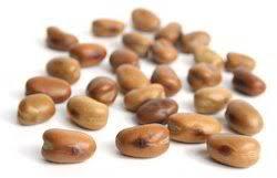 Horse beans, for Animals Food, Style : Dried, Natural, Raw