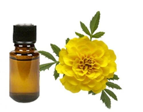 Arqus Tagetes oil, Packaging Type : Bottle