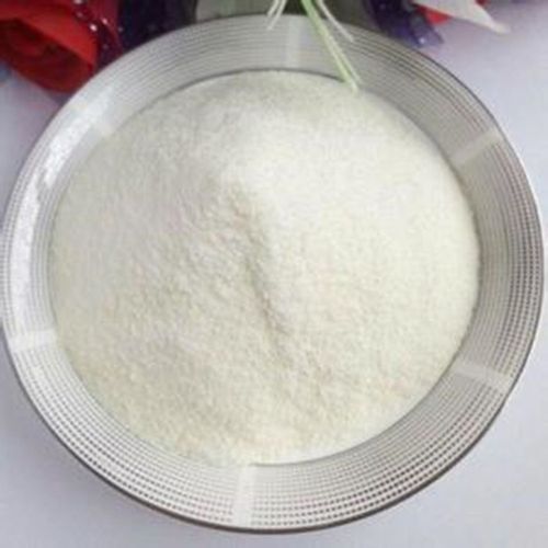 Rice Protein Isolate Powder