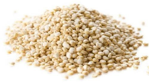 Organic Quinoa Seeds, Style : Dried