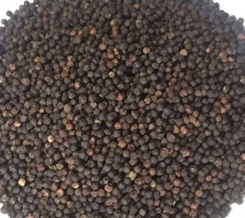 Common Organic Black Paper Seeds, Style : Dried