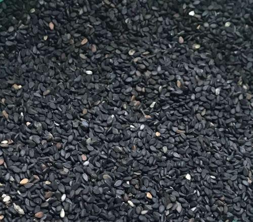 Common Organic Black Sesame Seeds, for Making Oil, Style : Dried