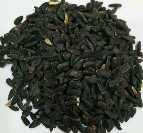 Organic Black Sunflower Seeds, Style : Dried