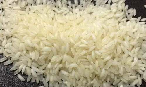 Organic BPT Kolam Rice