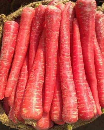 Natural Organic Carrot, Packaging Type : Jute Sack
