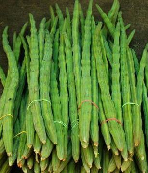 Common Organic Drumsticks, for Cooking, Color : Green