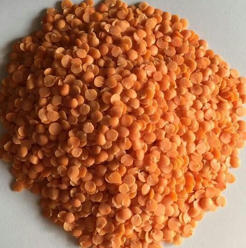 Common Organic Masoor Dal, for Cooking, Certification : FSSAI Certified ...