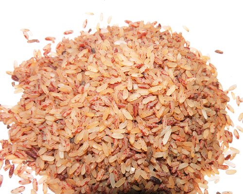 Organic red rice, Packaging Type : Jute Bag, PP Bag, Plastic Bag