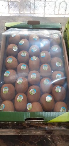 Fresh kiwi fruit, Packaging Type : 10 Kg Bag