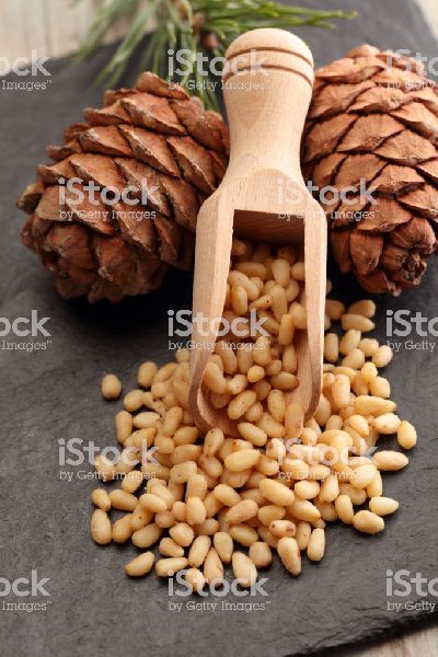 Dried Common pine nuts, Certification : ISO9001-2008