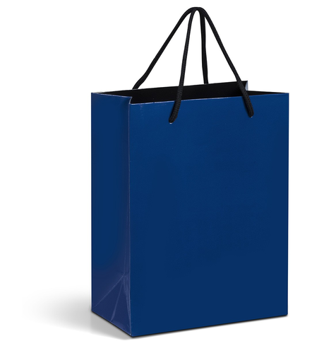 Standard White Rope Handel Corporate Gift Bag For Shopping Capacity 3 Kg
