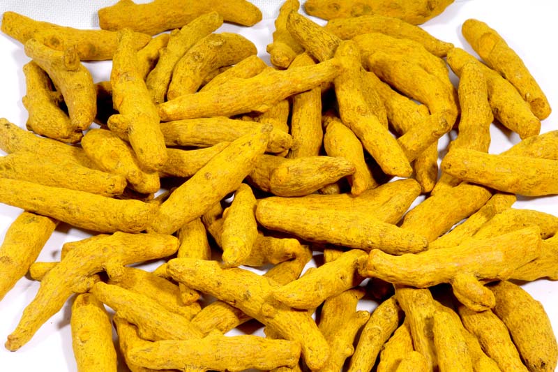 Raw Dried Turmeric Finger, Color : Yellow