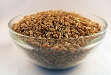 Common organic wheat, for Cooking, Certification : FSSAI Certified