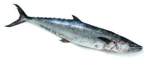 Fresh fish, for Restaurants, Packaging Type : Vacuum Pack