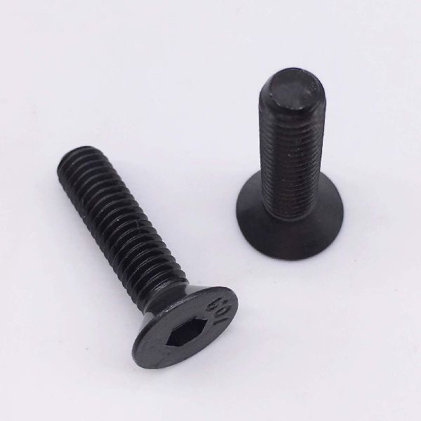 Carbon Coated TVS Fasteners