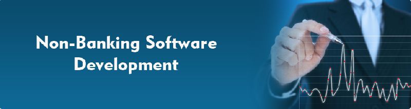 Non-Banking Software Development