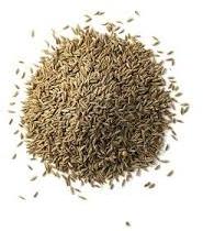 Cumin seeds