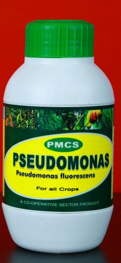Pseudomonas Fluorescens