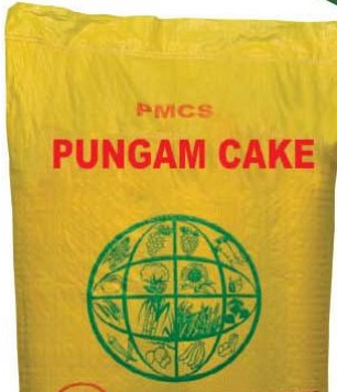 Pungam Cake