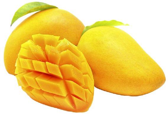 Fresh Kesar Mango, for Direct Consumption, Food Processing, Juice Making, Feature : Bore Free