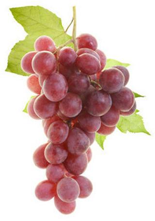 Organic Fresh Red Grapes, Packaging Type : Bags
