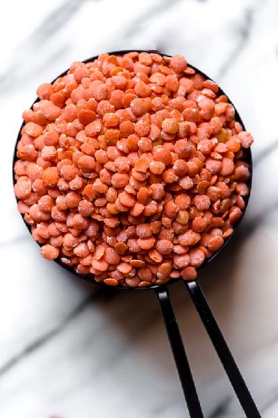 Organic Red Lentils, Feature : Healthy To Eat, Highly Hygienic