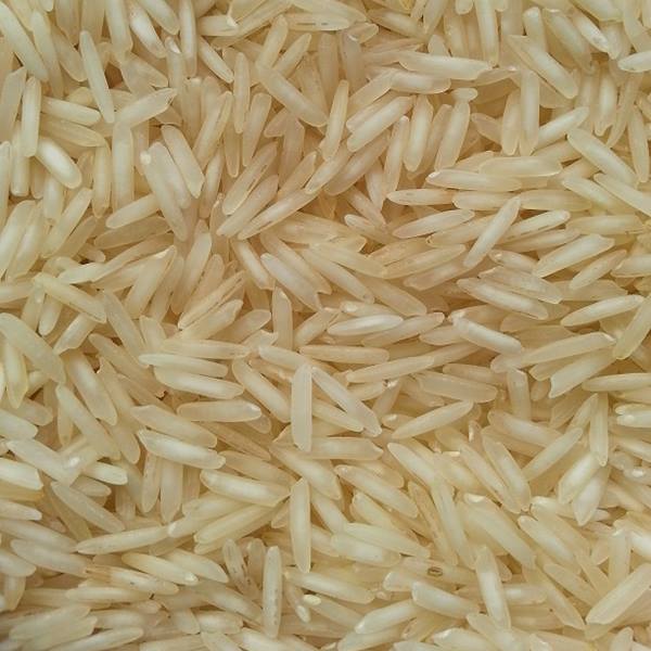 Organic Sugandha Non Basmati Rice, For High In Protein, Variety : Long Grain, Medium Grain, Short Grain