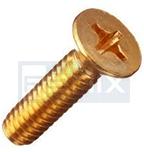 Brass Csk Head Screw