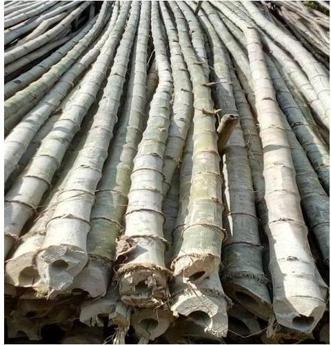 Non Finished Balkuwa Bamboo, for Manufacturing Units, Length : 10-20ft