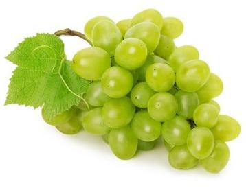 fresh green grapes