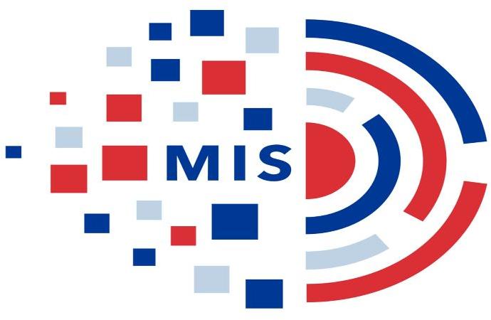 Management Information System (MIS) Development Services