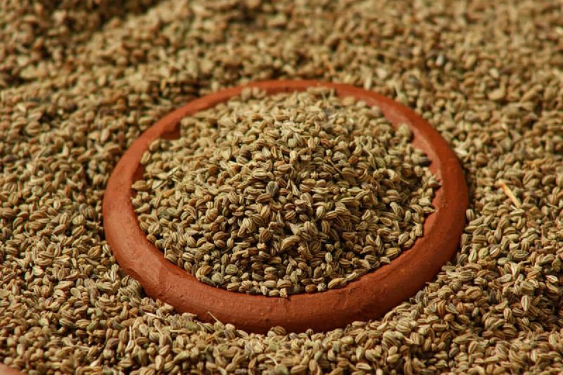 Carom Seeds, Feature : Hybrid, Natural Taste