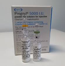 Pregnyl Injection