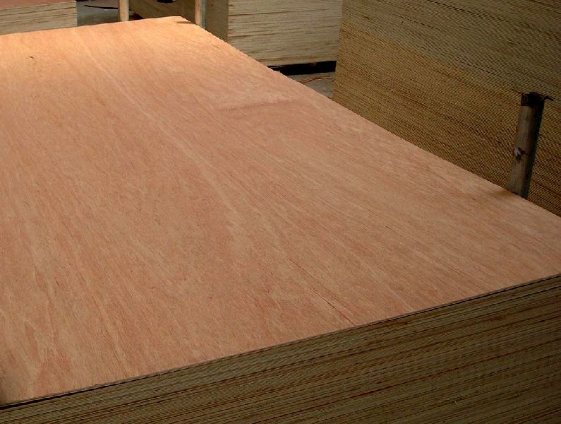 Pine Oredo Plywood, Length : 6000mm