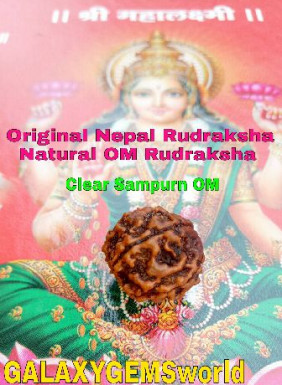 Original Natural OM Nepal Rudraksha, for Religious