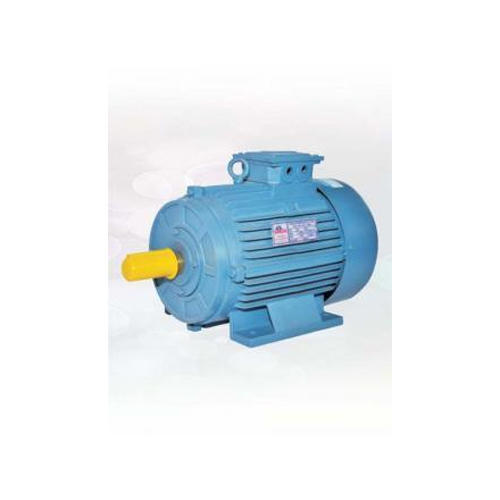 Cast Iron 50 Hz Single Phase Electric Motor, Voltage : 220 V