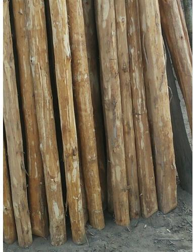 Nilgiri Wood Poles, Length : 10 Feet
