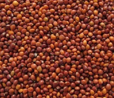 Organic Red Pigeon Peas, Certification : Fssai