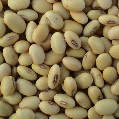 Nature soybean seeds, Certification : FSSAI Certified
