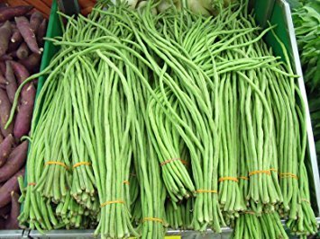 Asparagus Bean, Color : Green