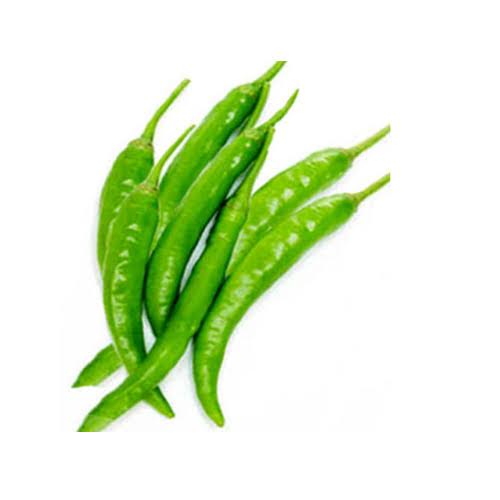 Common Fresh Green Chili, Packaging Type : Gunny Bags, Jute Bag, Pp Bag