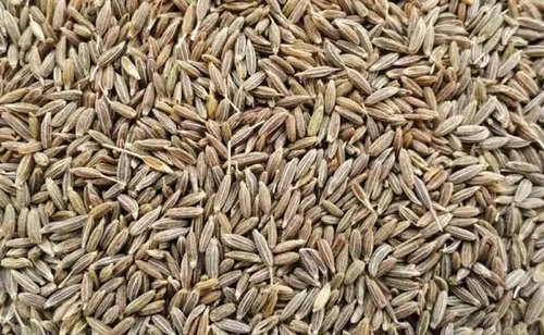 Cumin seeds