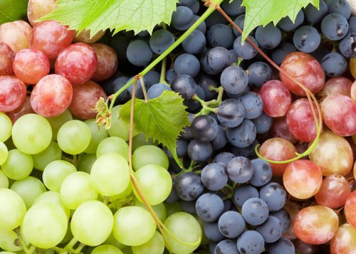Organic fresh grapes, Packaging Type : Plastic Box
