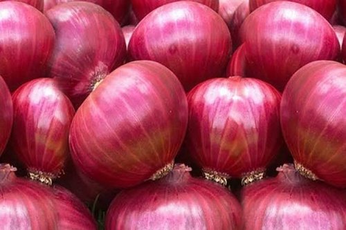Fresh onion, Packaging Type : Jute Bags, Net Bags, Plastic Bags