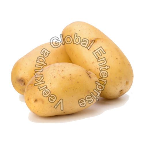 Organic Fresh Brown Potato, Style : Natural